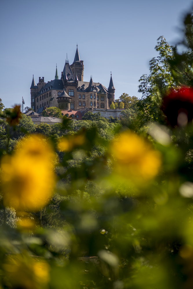 View castle vibes by Aaron Siegler
