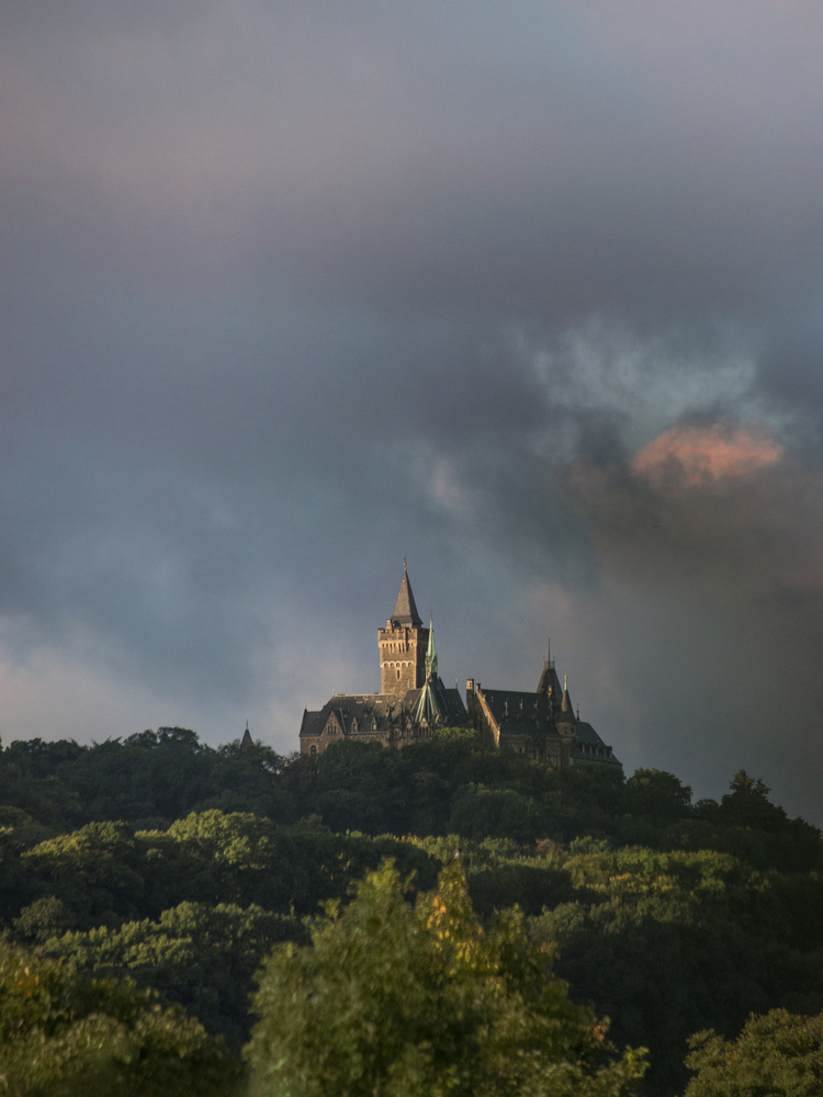 View Mornings at the castle by Aaron Siegler