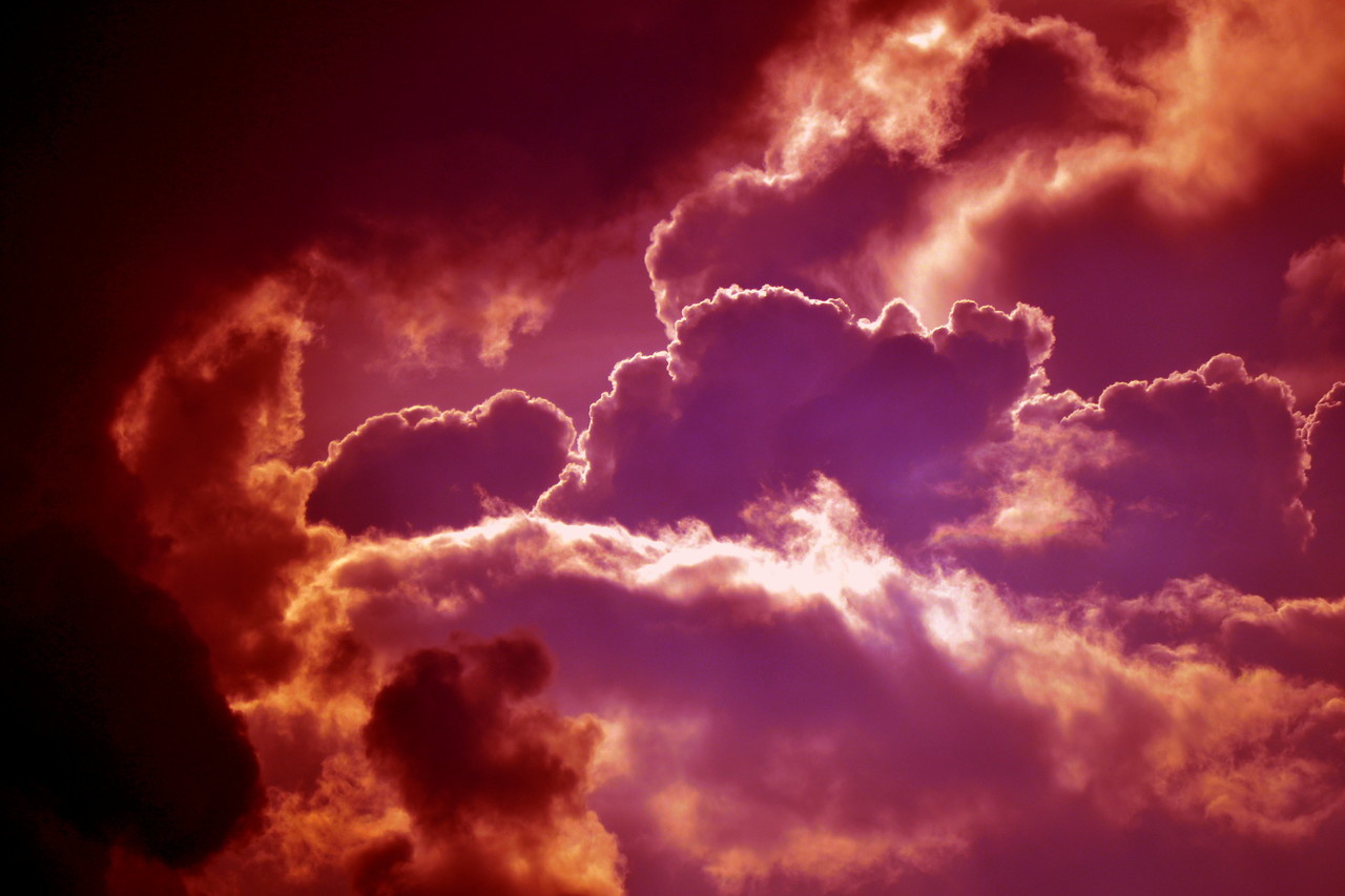 View The Sky Is Aware by Gustave Kurz