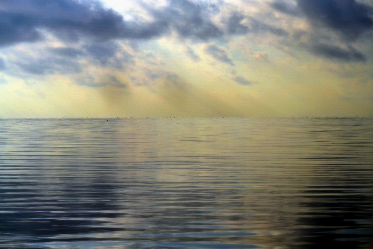View Almost Something by Gustave Kurz