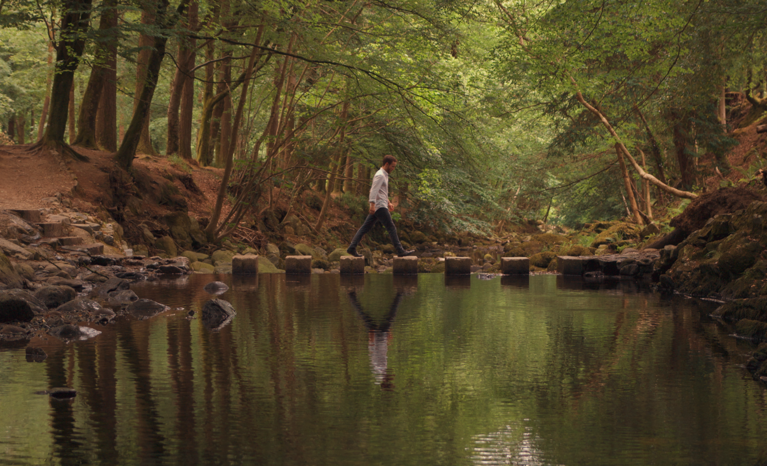 View Untitled 6 by Timothy McGlinchey