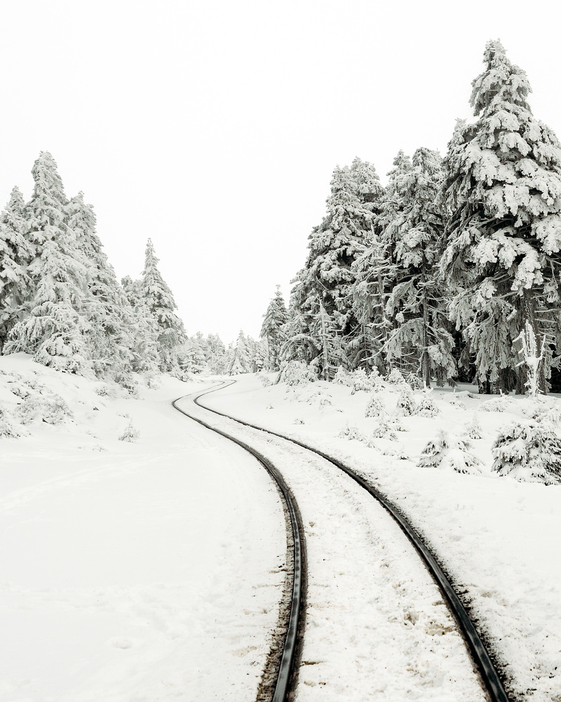 View Untitled 4 by Sam Green