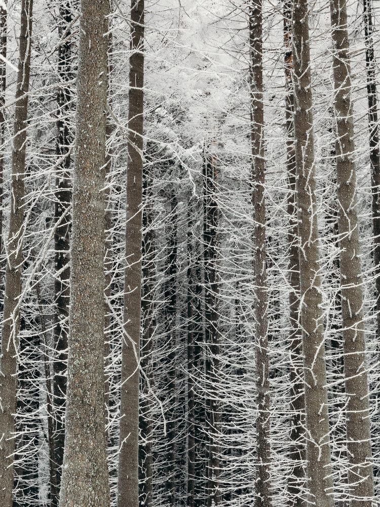 View Untitled 5 by Sam Green