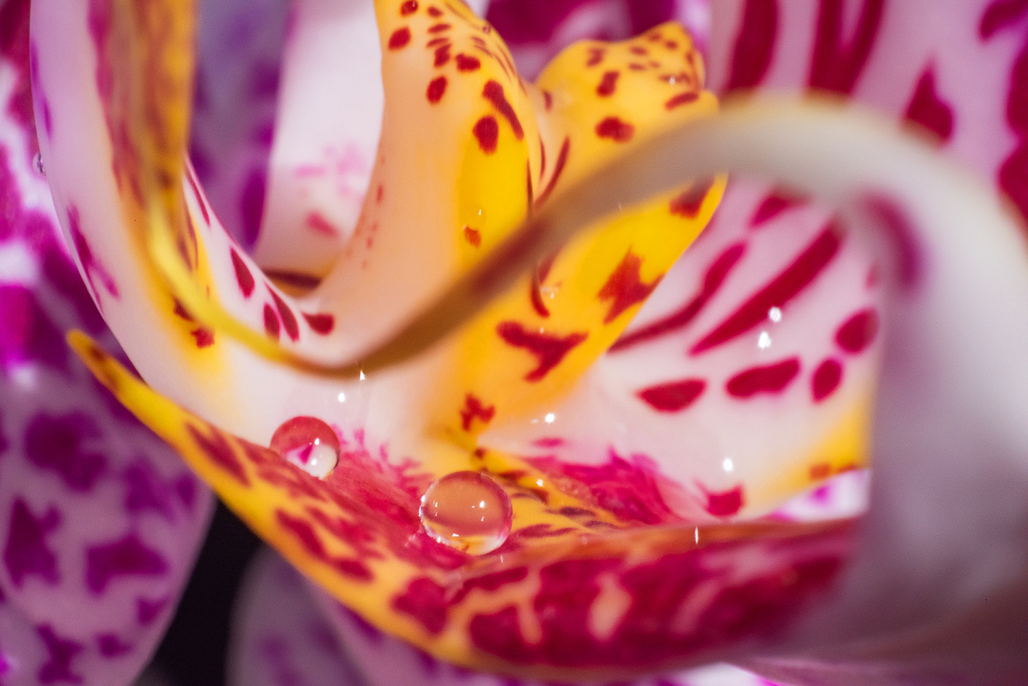 View Untitled 4 by Marc-Emmanuel Jean-Baptiste