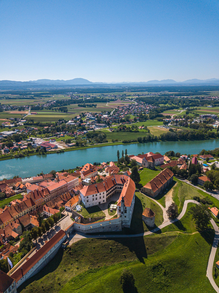 View Ptuj Castle in Slovenia by Kovács Apor