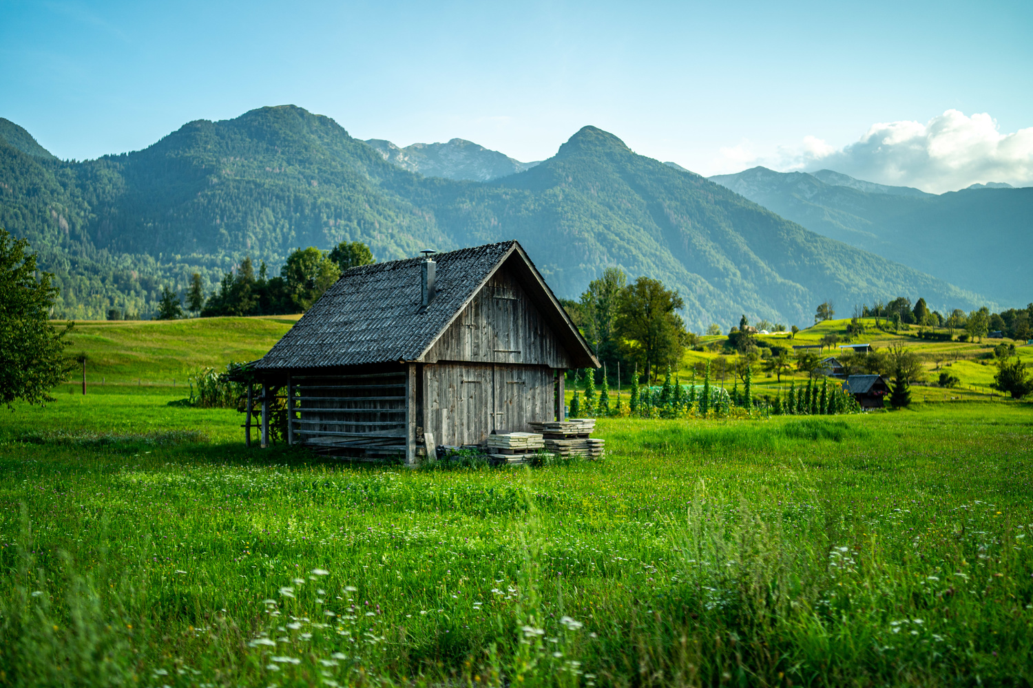 View Cabin by Kovács Apor