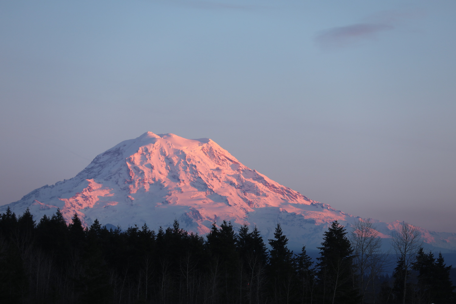 View Rainier glow by T Rossi