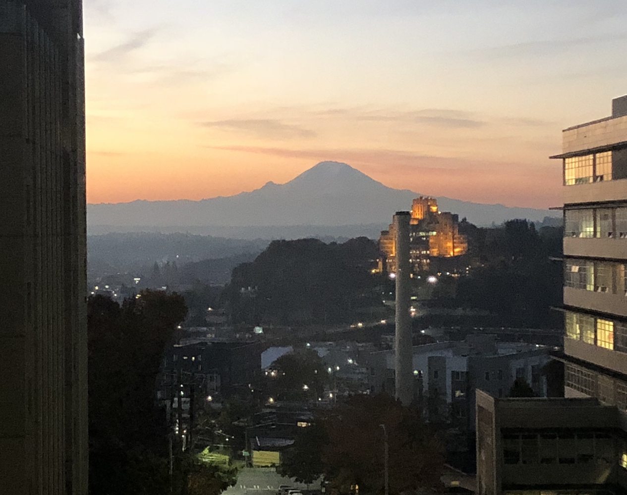 View Rainier in the city by T Rossi