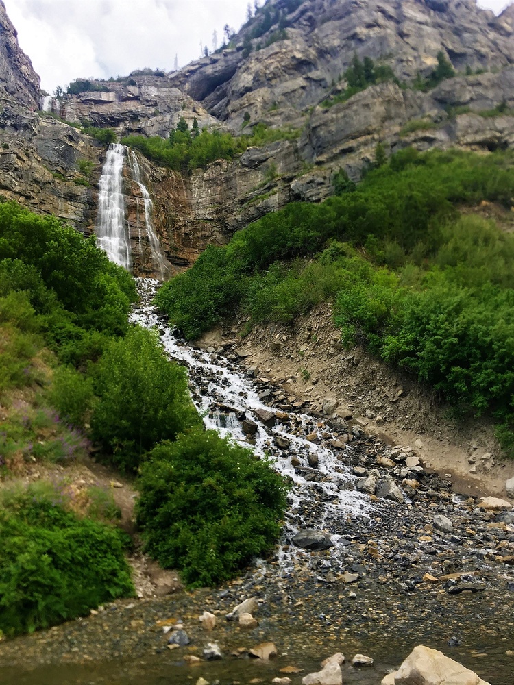 View falling water by mike jones