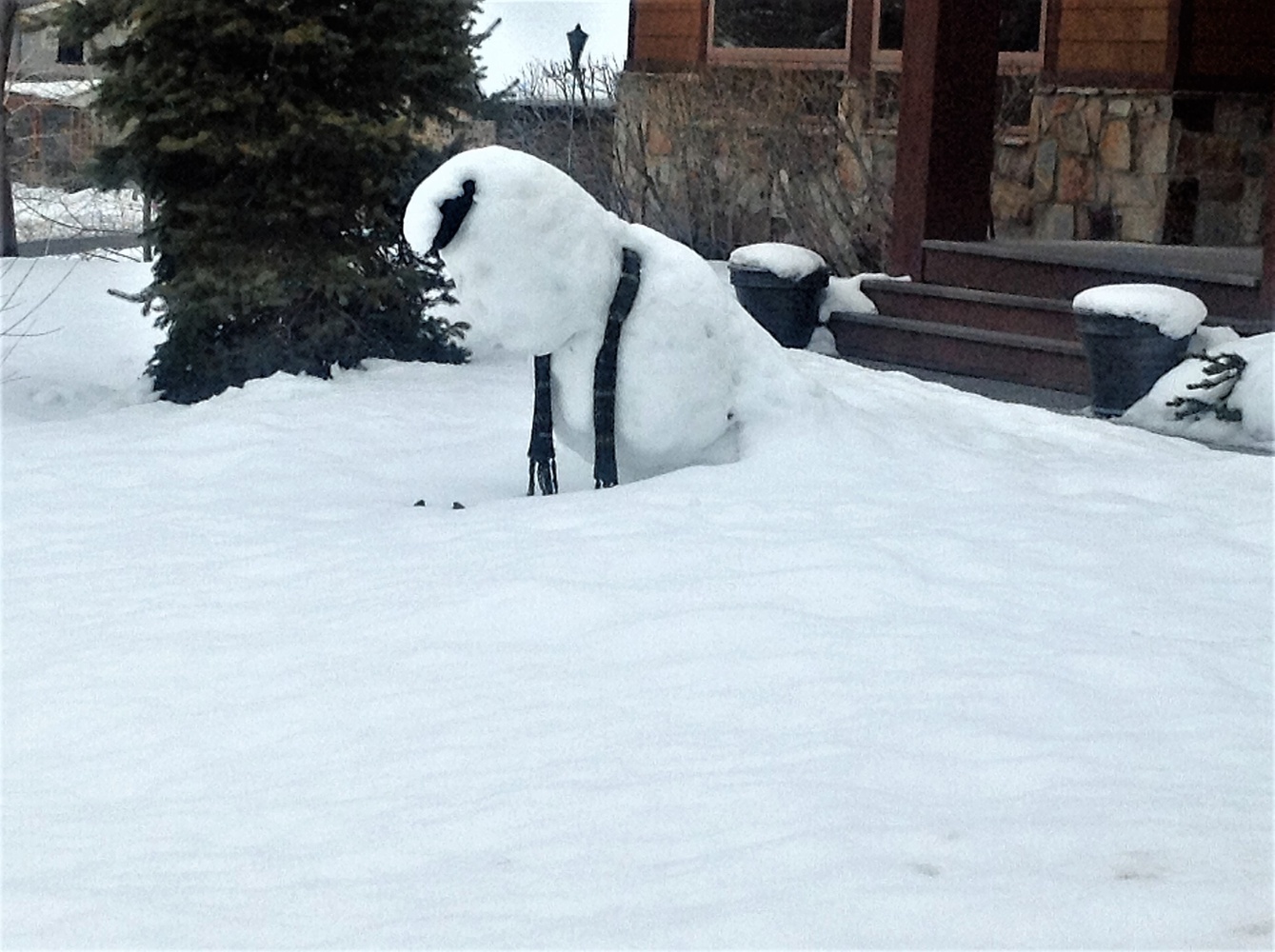 View snow fun by mike jones