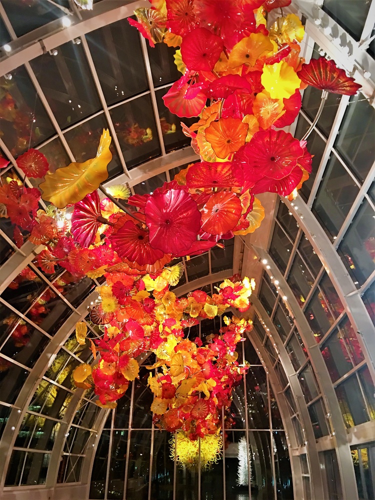 View dancing flowers by mike jones