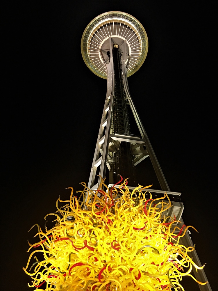 View Feiry Space Needle by mike jones