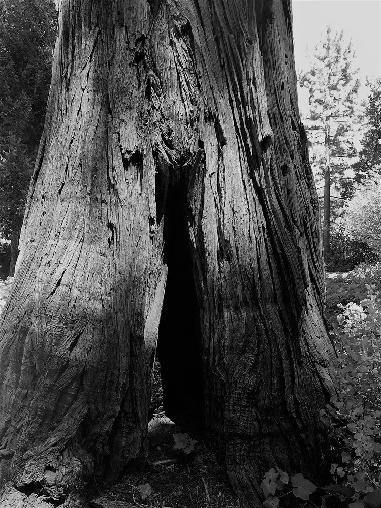 View enter at your own risk by mike jones