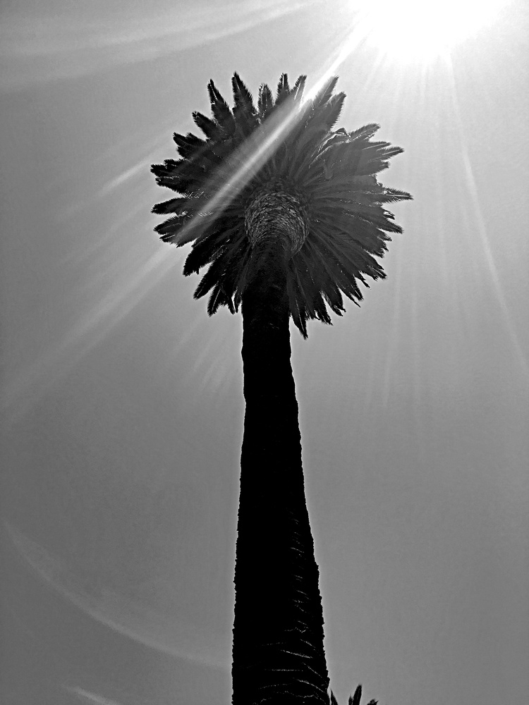 View cali style by mike jones