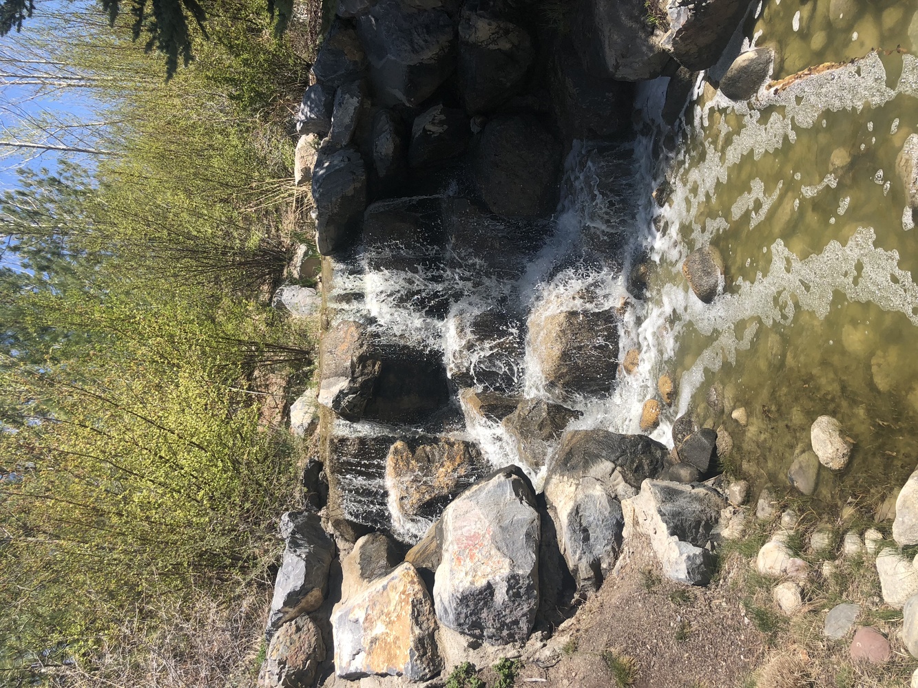 View spring time splash by mike jones