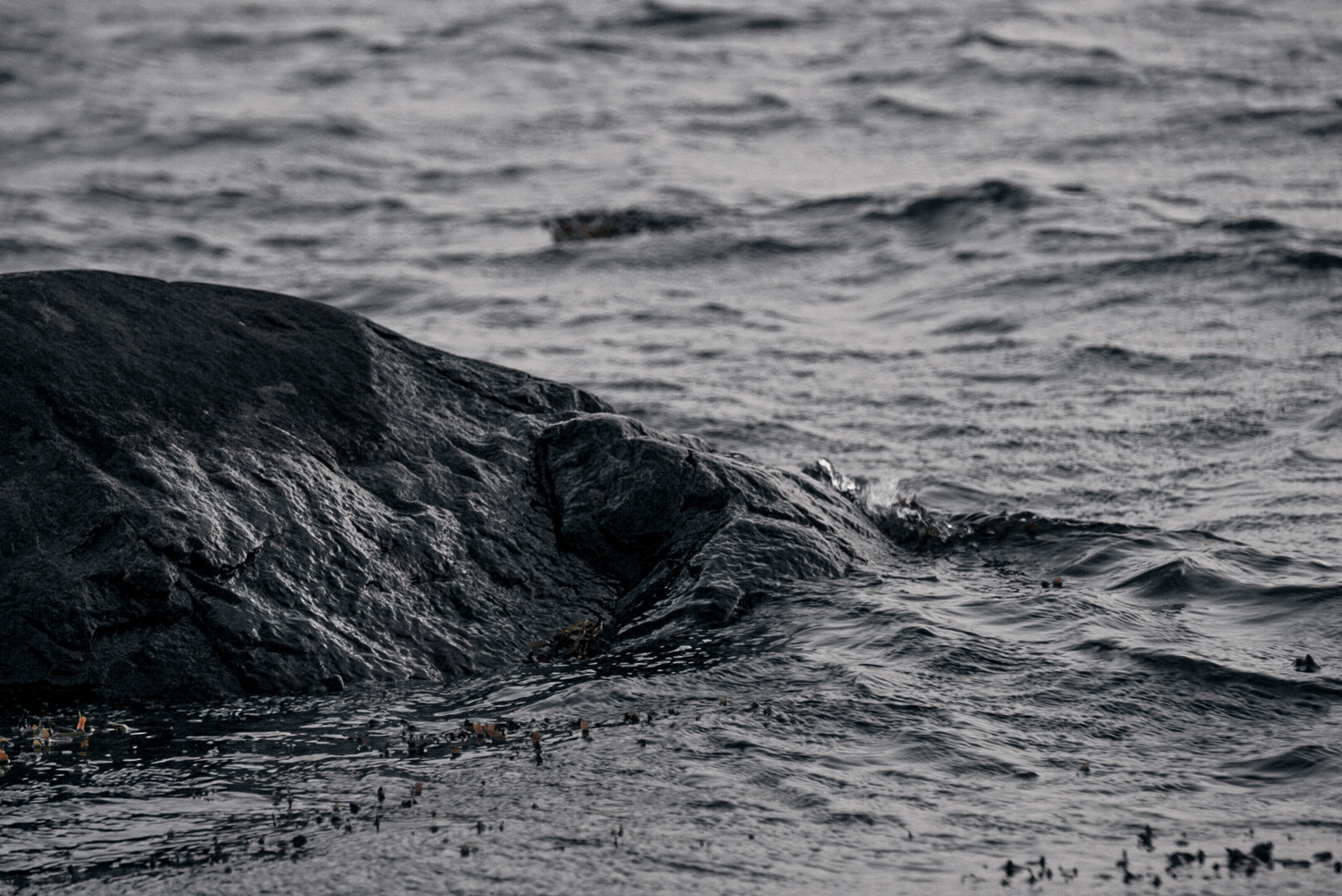 View Untitled 6 by Marvin Berge