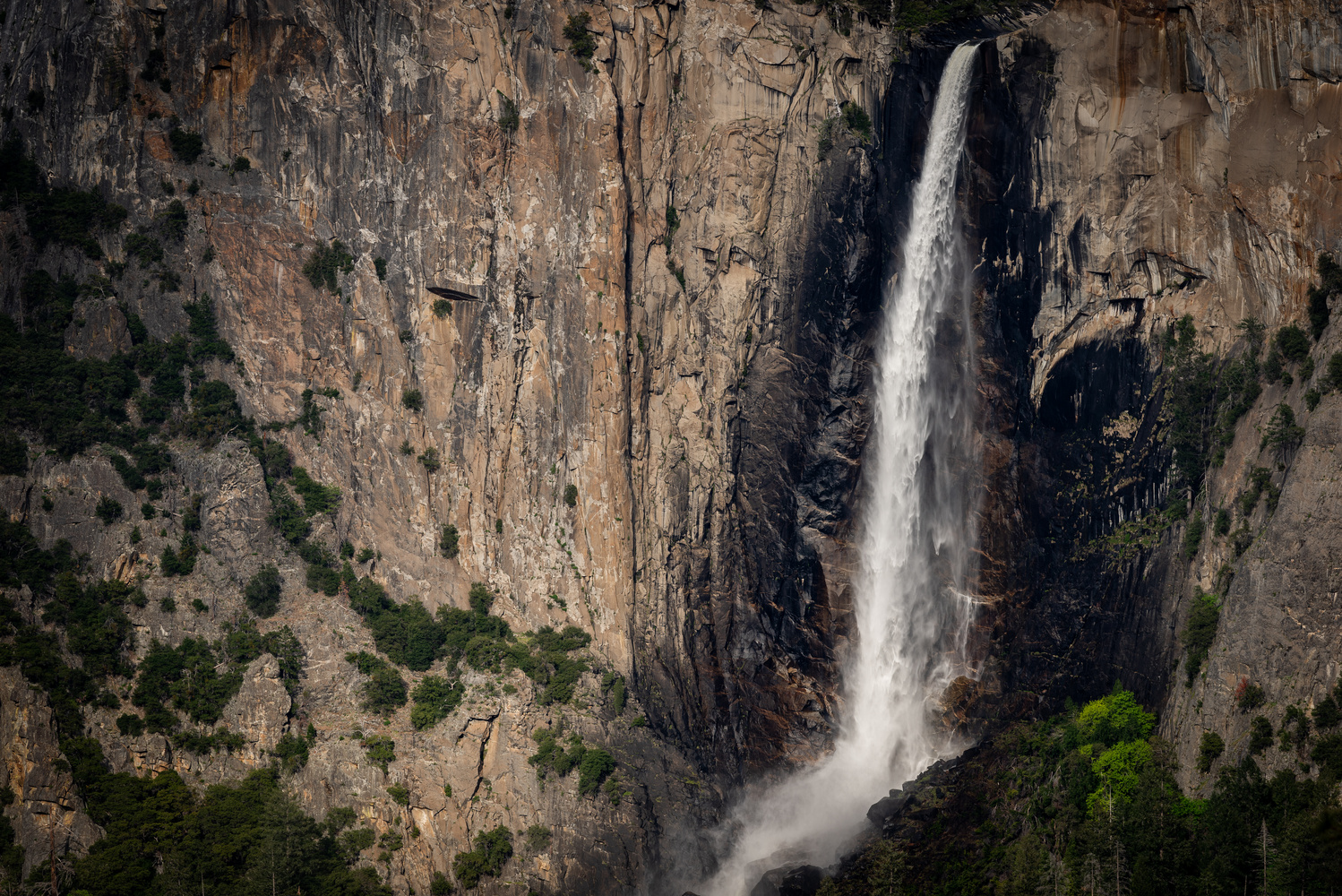 View Untitled 8 by Aaron Smith