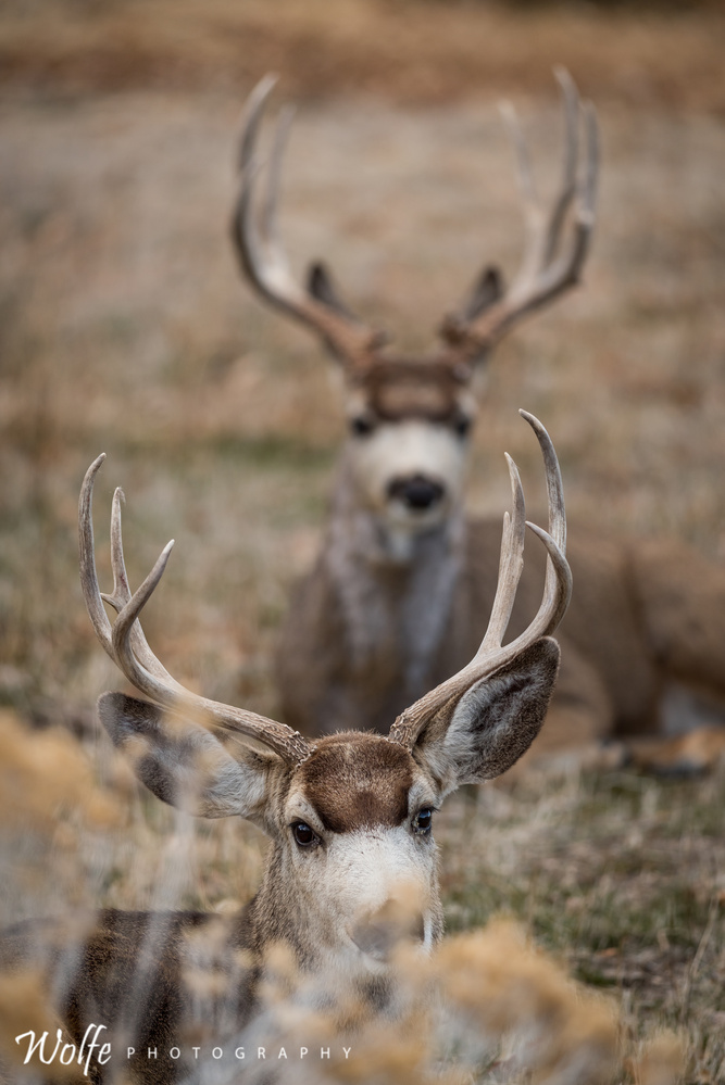 View Untitled 14 by Aaron Smith