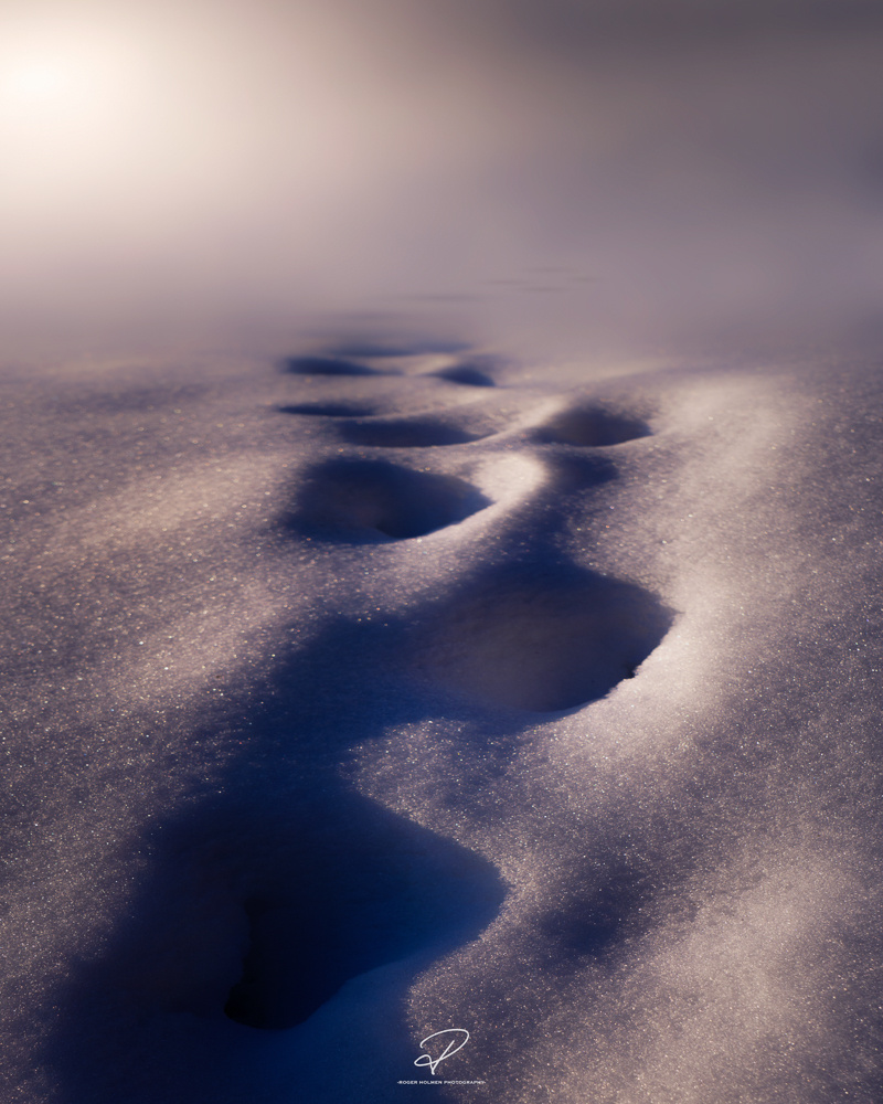 View Untitled 7 by Roger Hølmen