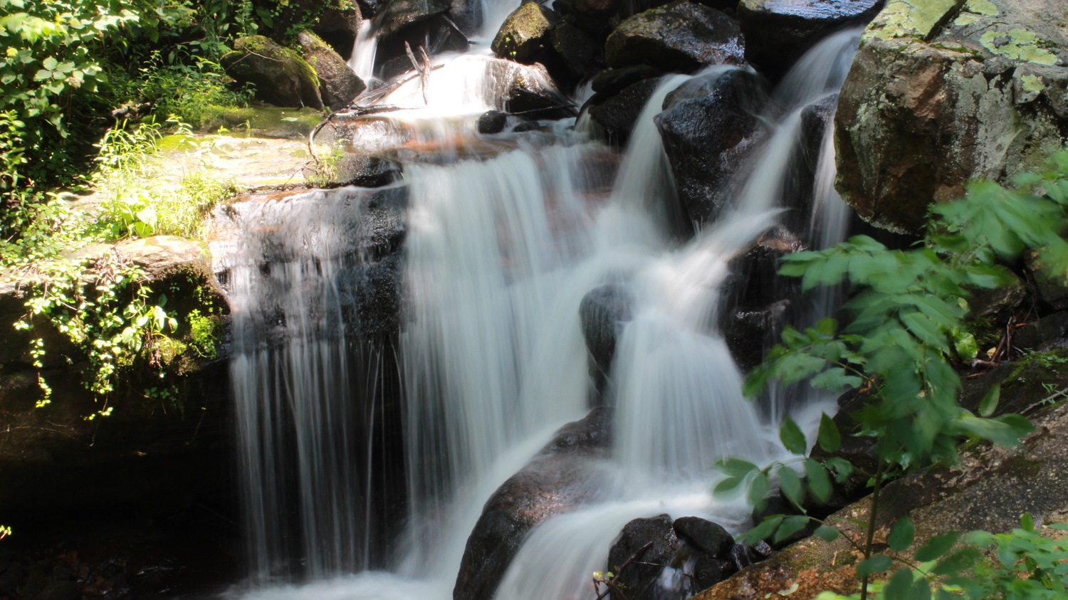 View Untitled 2 by Gopi Venkatesan