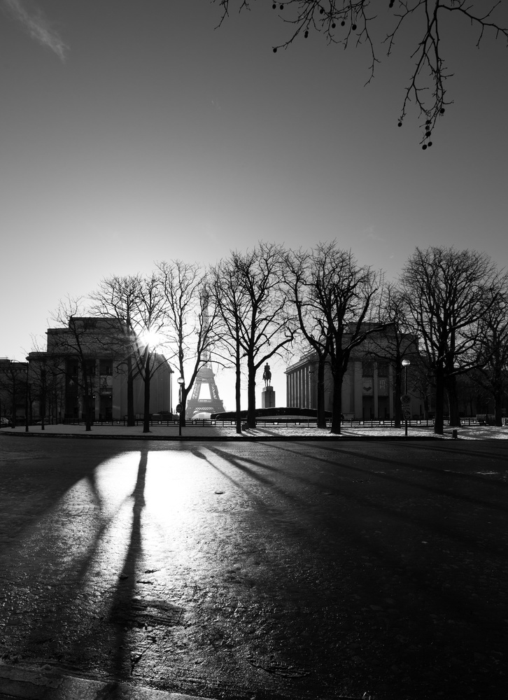 View Untitled 8 by Shawn Mahan