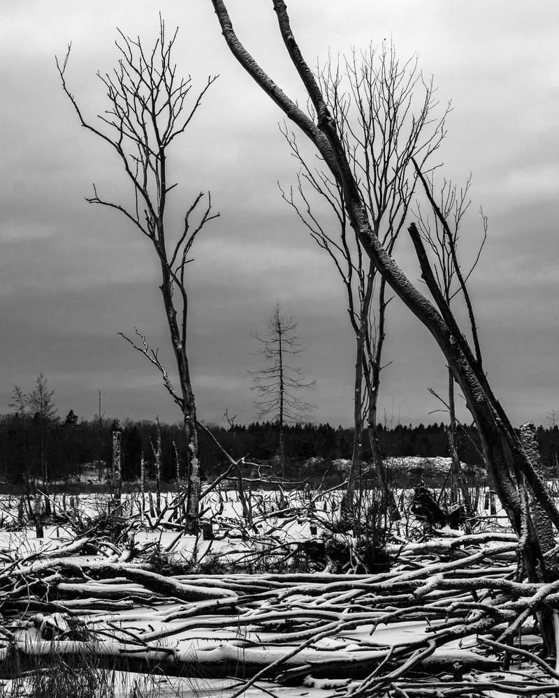 View Untitled 11 by David Grahn