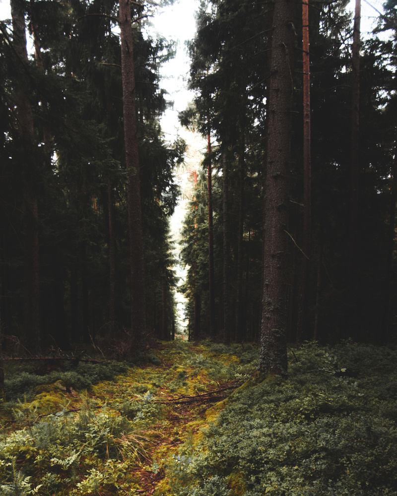 View Find the path by Jeroen Zabeau