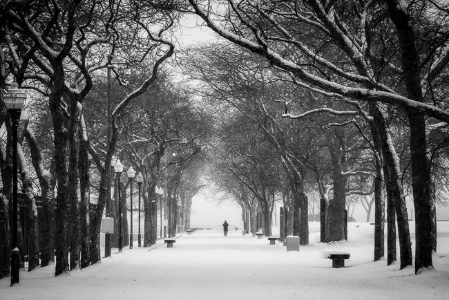 View Untitled 4 by Terry Strayn
