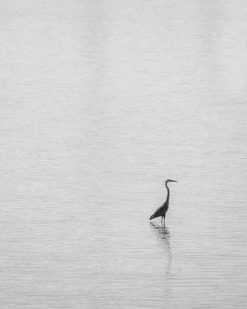 View Untitled 2 by Tim Cleary
