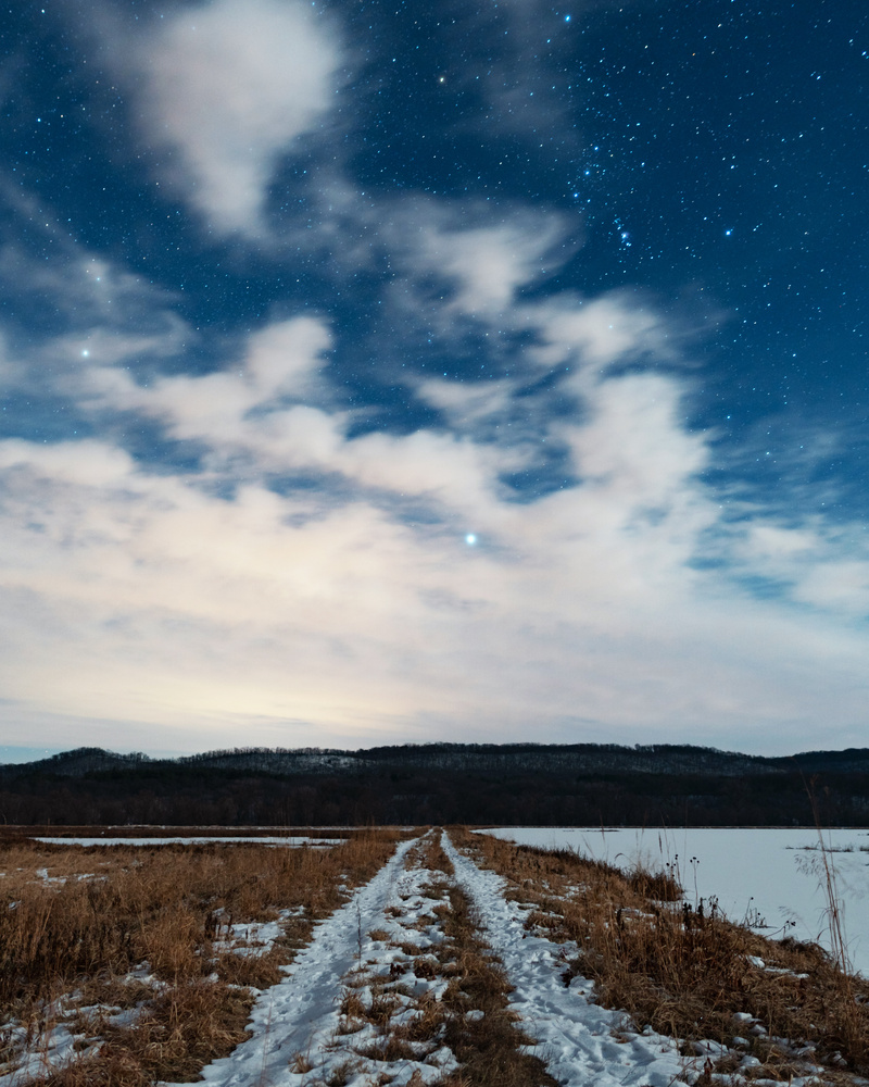 View Untitled 3 by Andrew Williams
