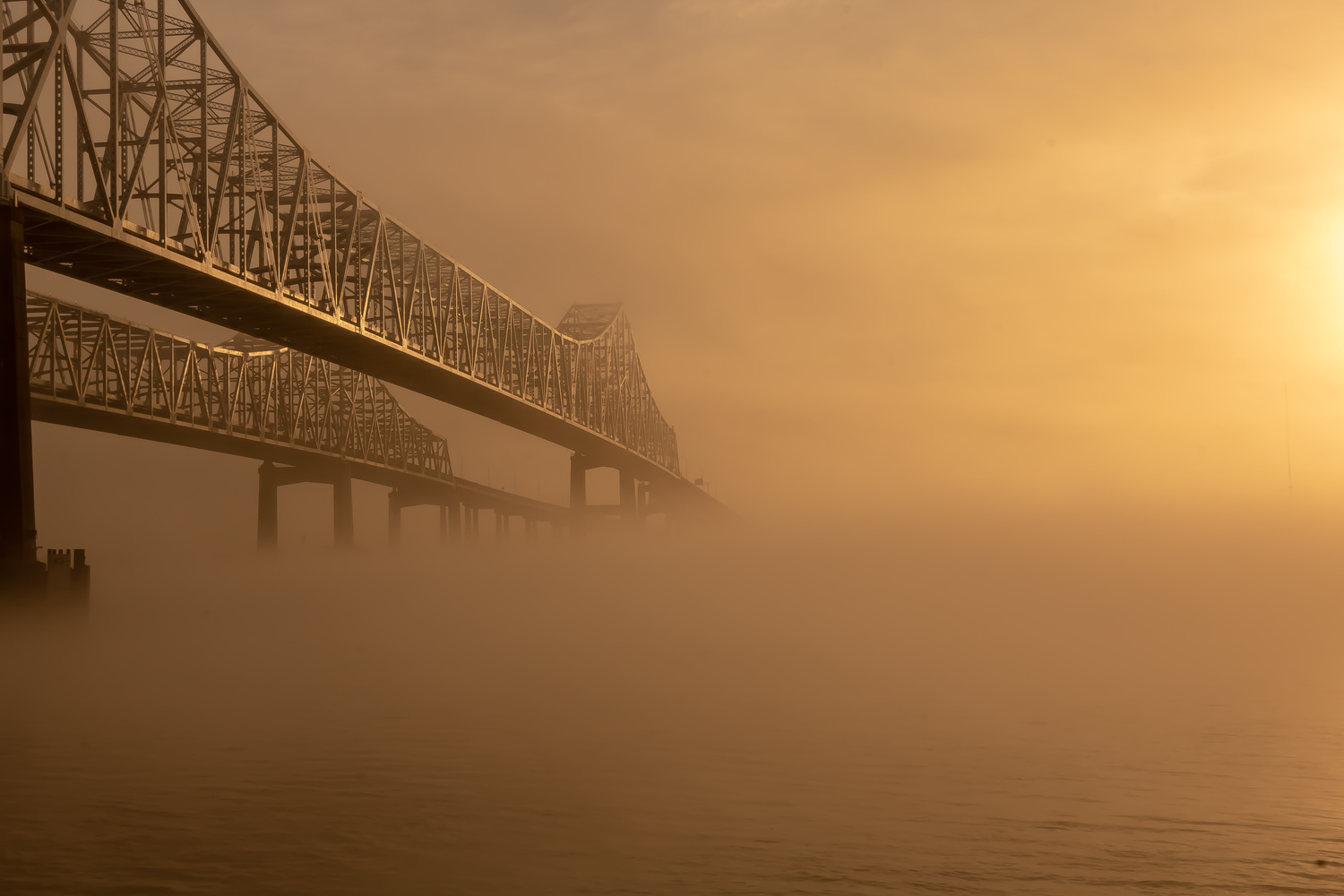 View Untitled 2 by Kenneth Hofmann