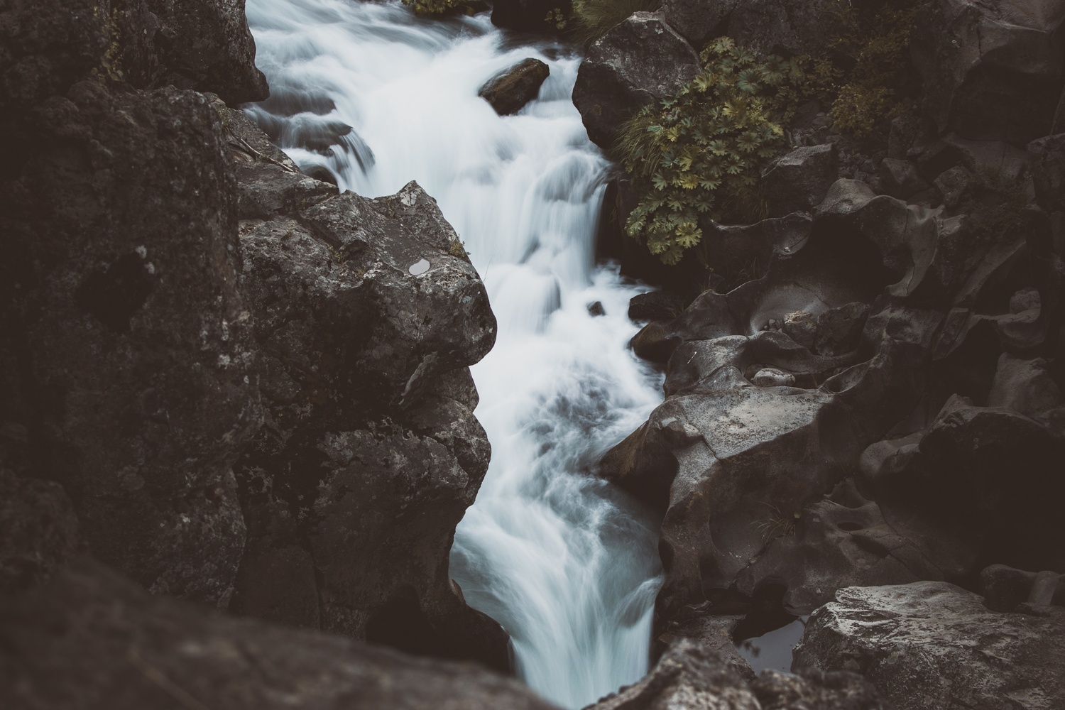 View Untitled 1 by Jordan Borbon