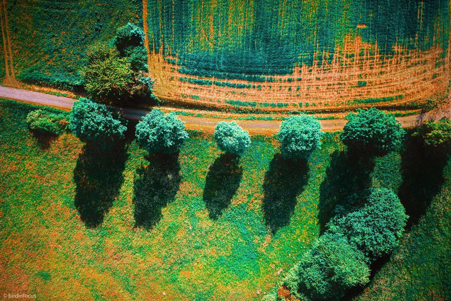 View Rusty Landscape by Stefan Ernst