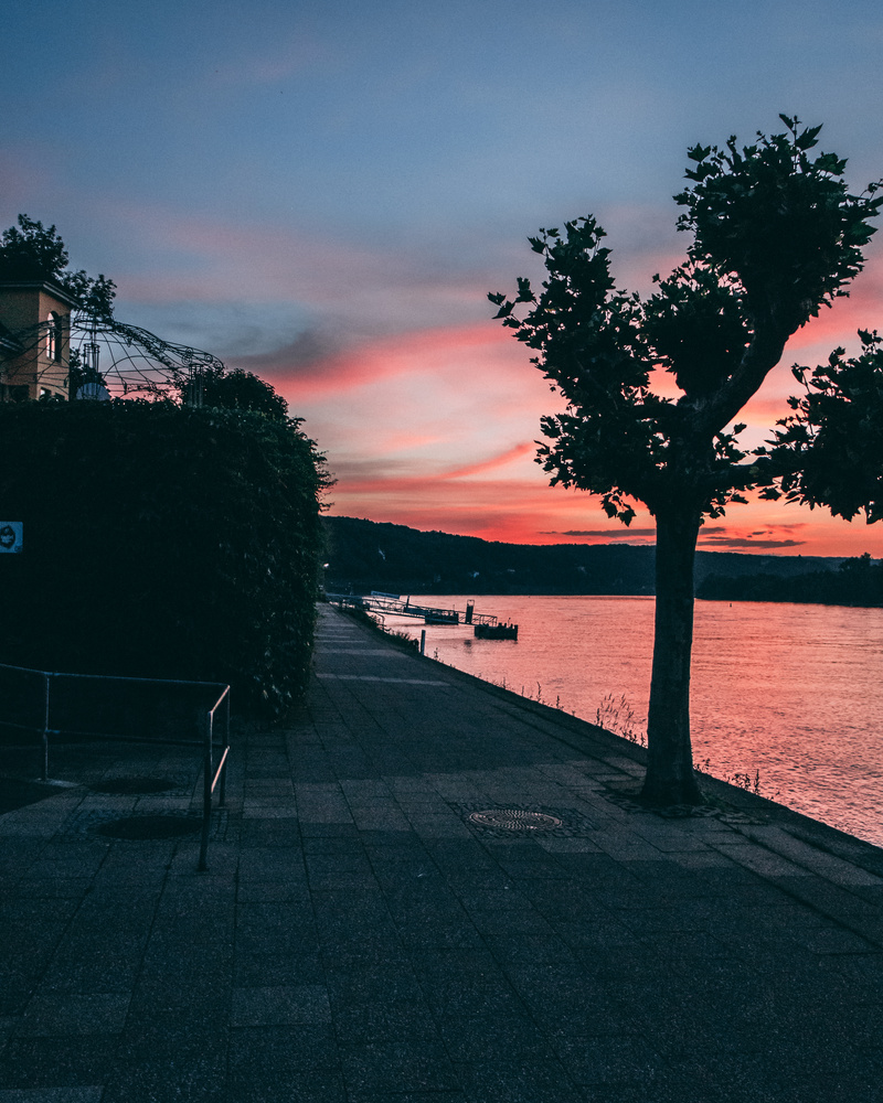 View Untitled 1 by Tobias Schneider