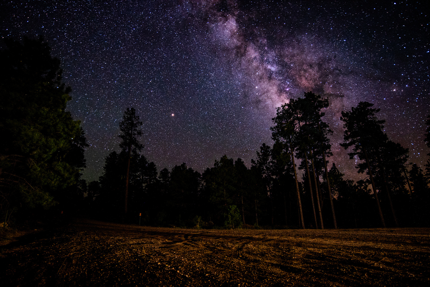 View Untitled 1 by RYAN MORRIS