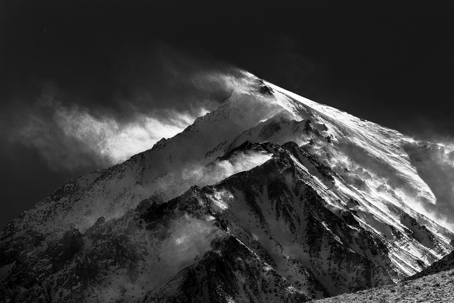 View Untitled 2 by Moshe Levis