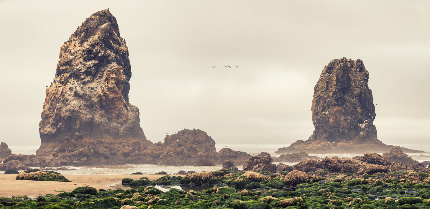View Untitled 17 by Aaron Tindall
