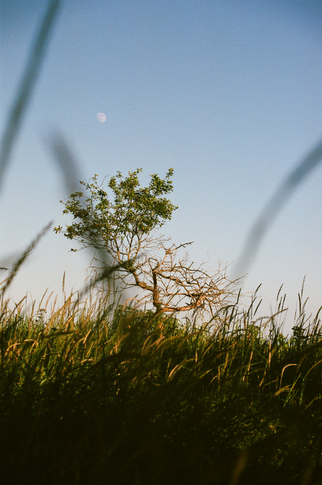 View Untitled 15 by Andrew Howe