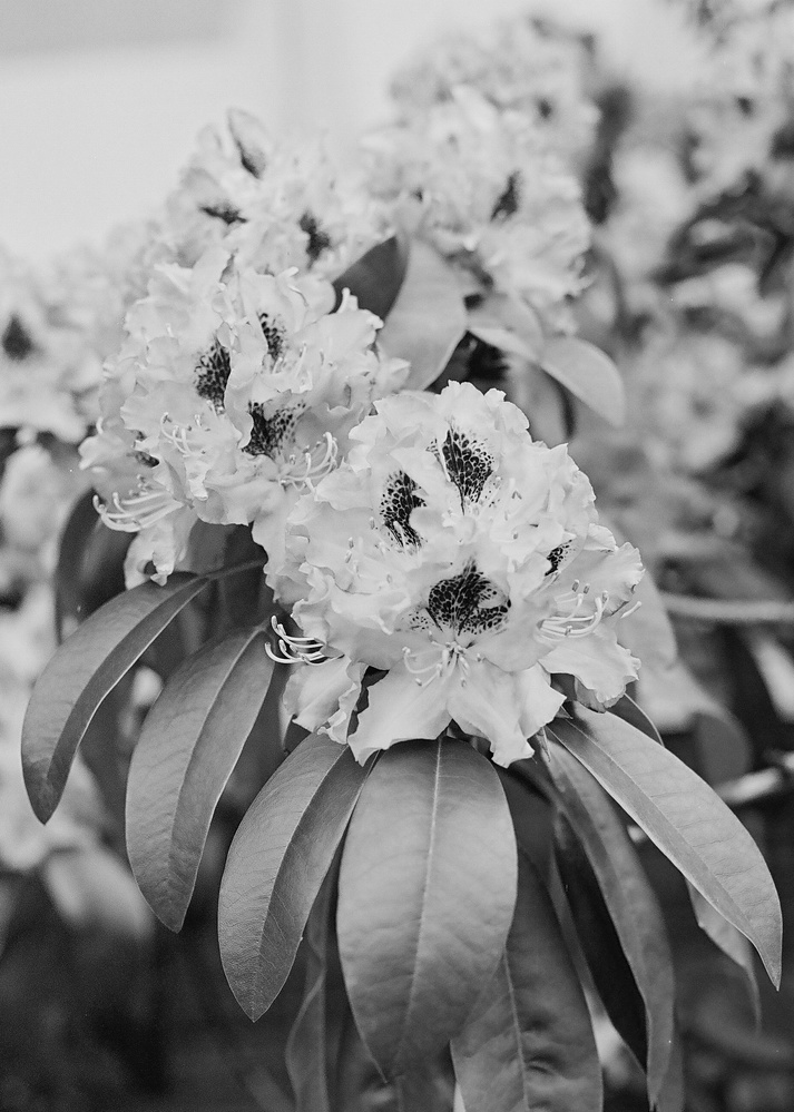 View Untitled 14 by Andrew Howe