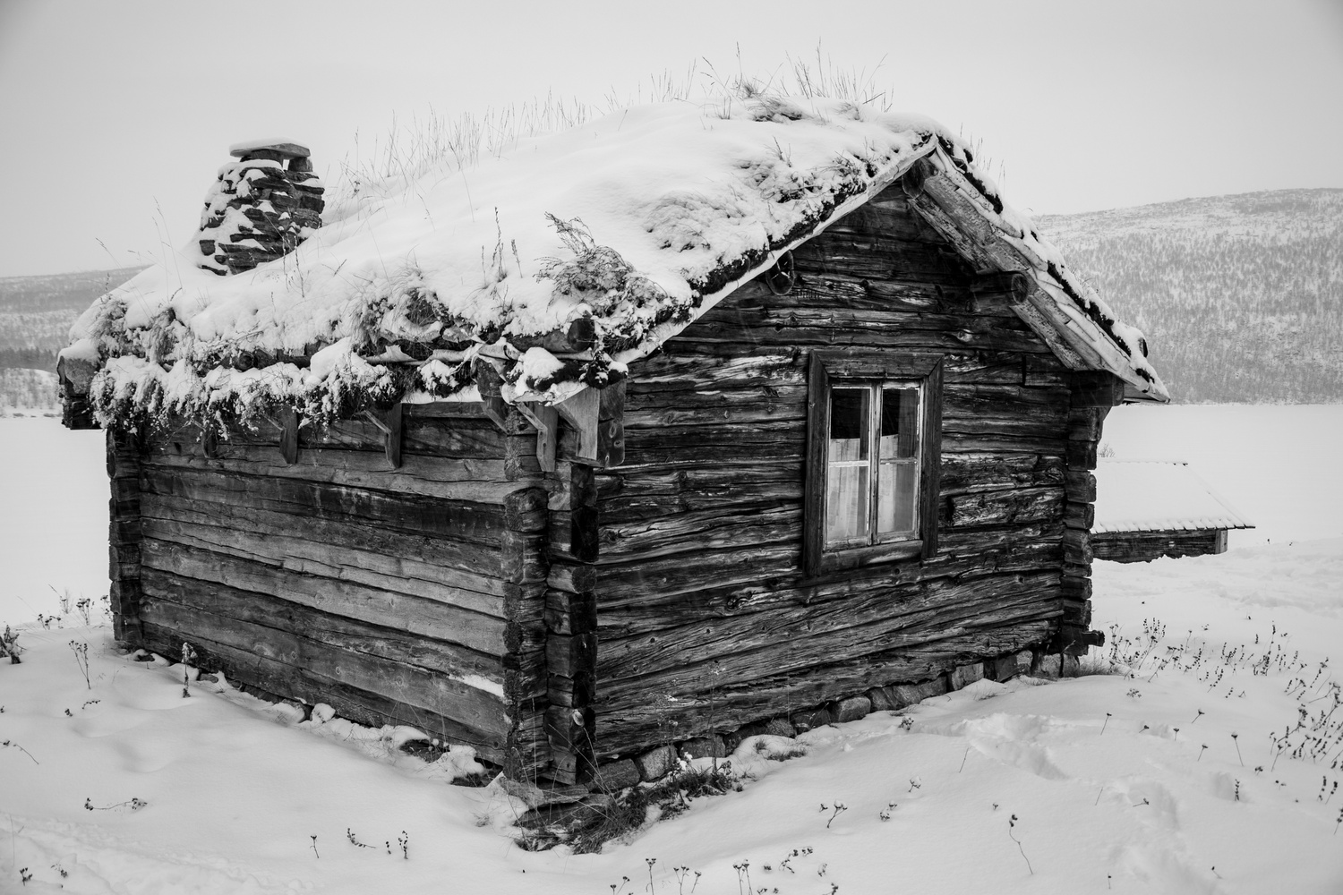 View Untitled 13 by Tomas Grohman