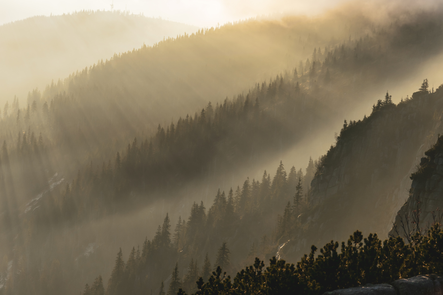 View Untitled 10 by Tomas Grohman