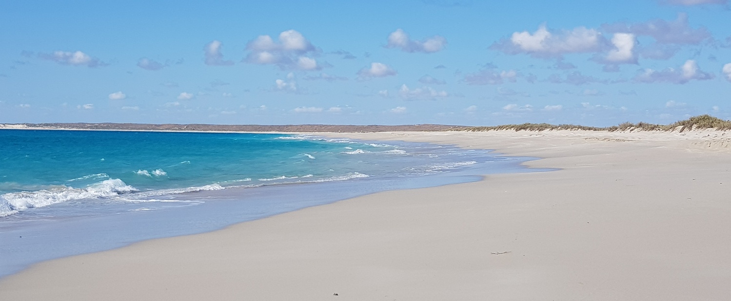 View Coral Bay, Western Australia by Julie Hutson