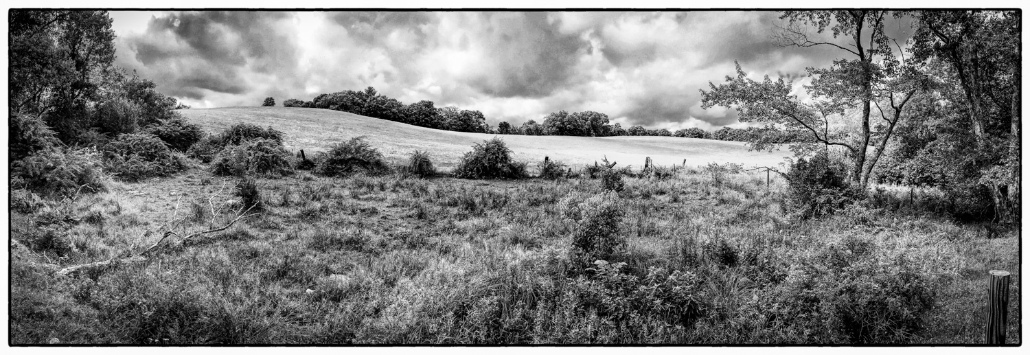 View Untitled 3 by Ronald Gillis
