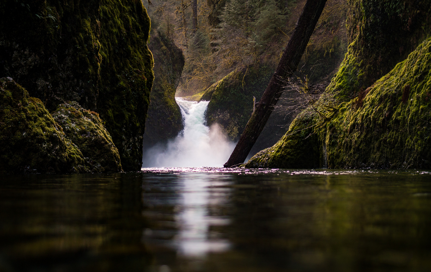View Untitled 2 by Erik Strot