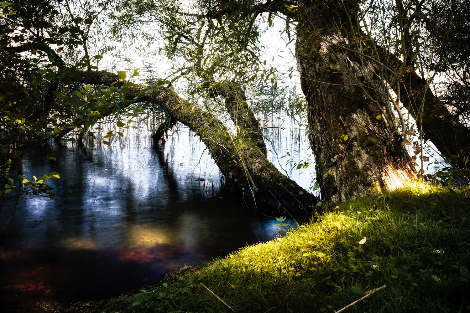 View Untitled 3 by Florian Wolf