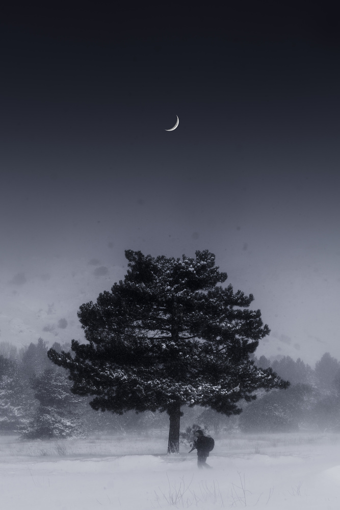 View Untitled 13 by Gianluca Caruso