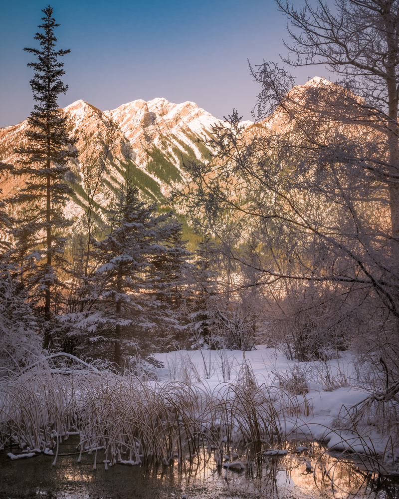 View Untitled 10 by Brad Fennell