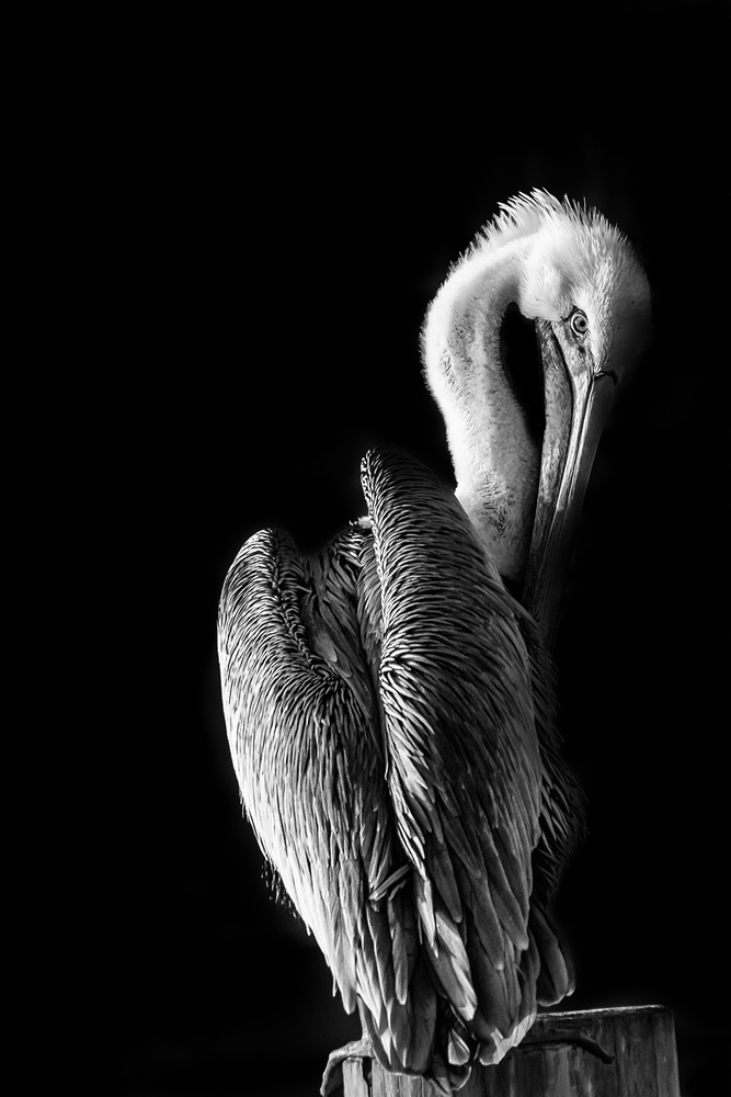 View Untitled 60 by Kyle Foreman