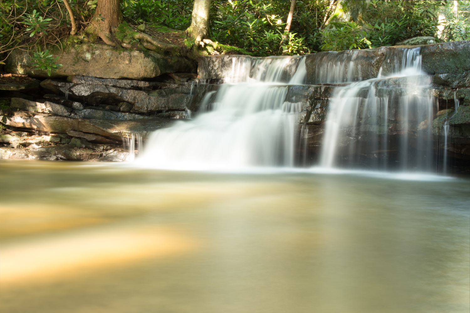 View Untitled 1 by Justin Wilt