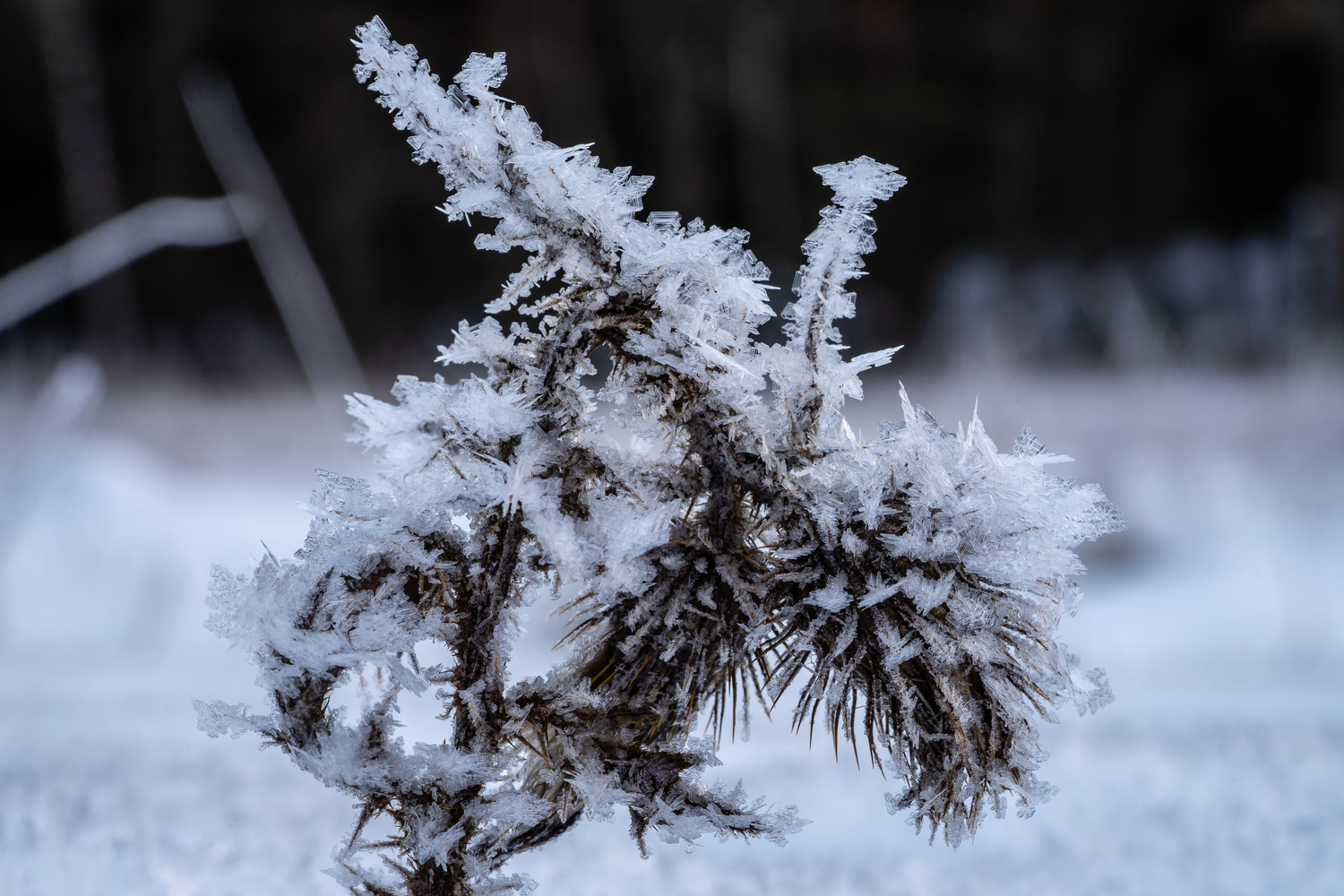 View Untitled 15 by Johan Andersson